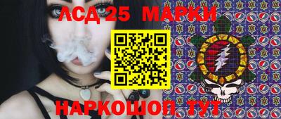 apvp Камышлов