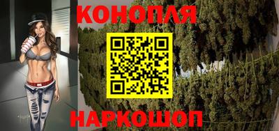 apvp Камышлов