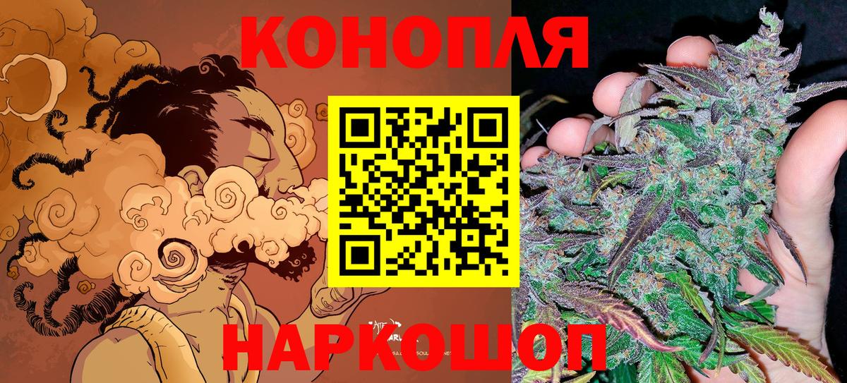 Канабис SATIVA & INDICA Гай